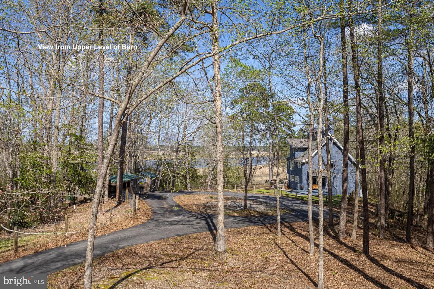 1924 Custis Millpond Rd photo 44
