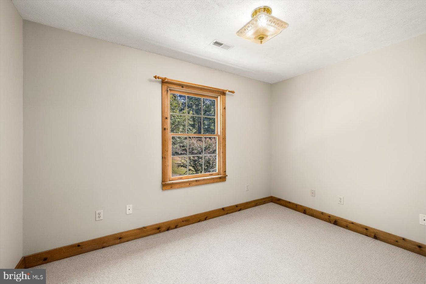 311 Spring Hill Drive photo 25