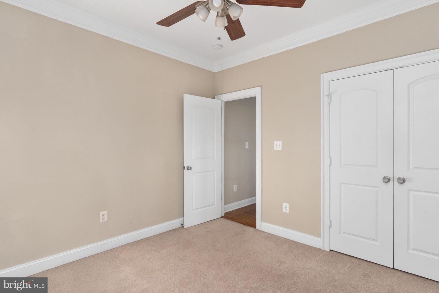 139 Oak Haven Drive photo 21