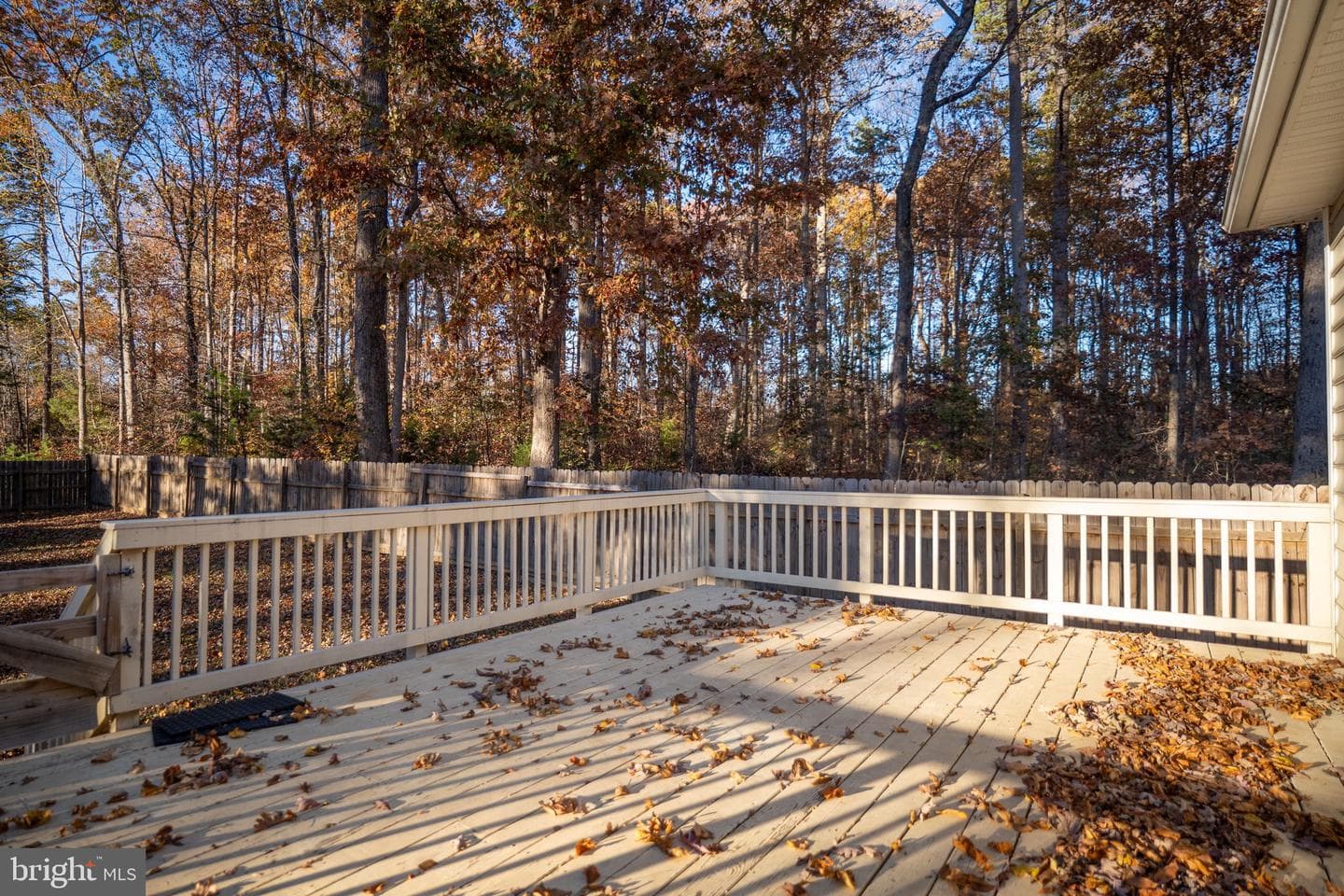 139 Oak Haven Drive photo 52