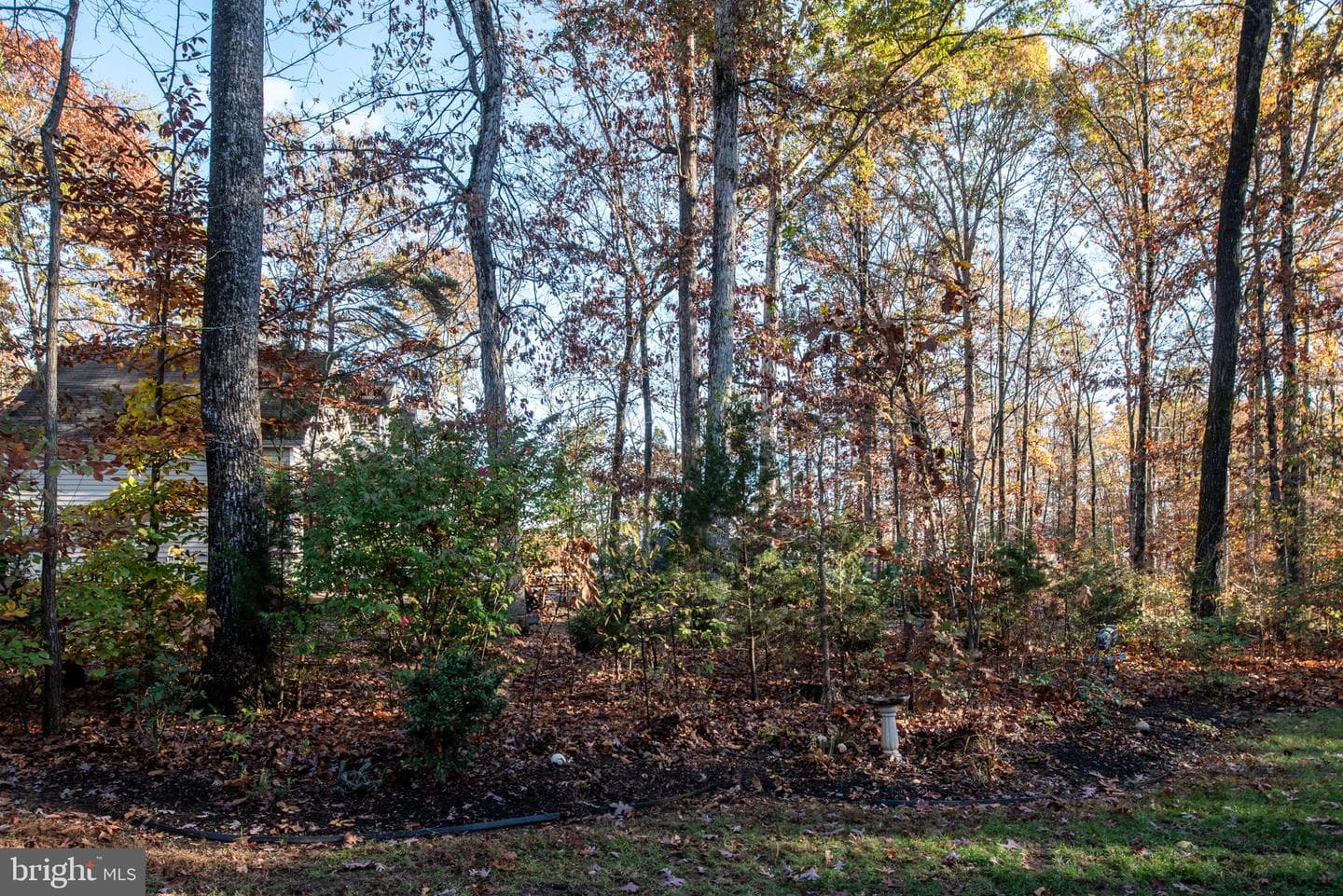 3804 Elk Creek Rd photo 54