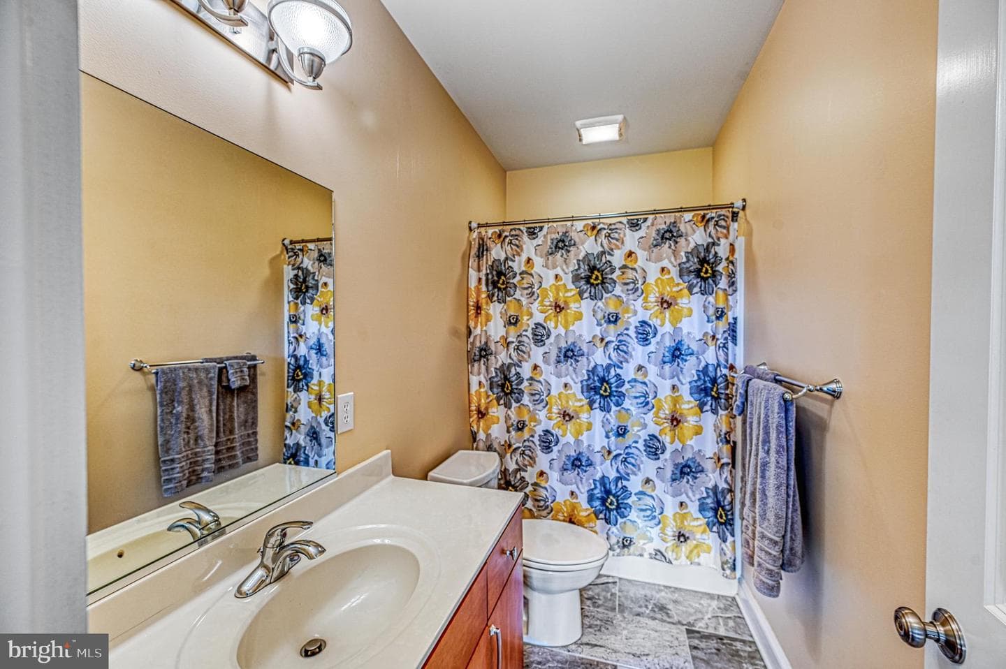 241 William Street photo 53