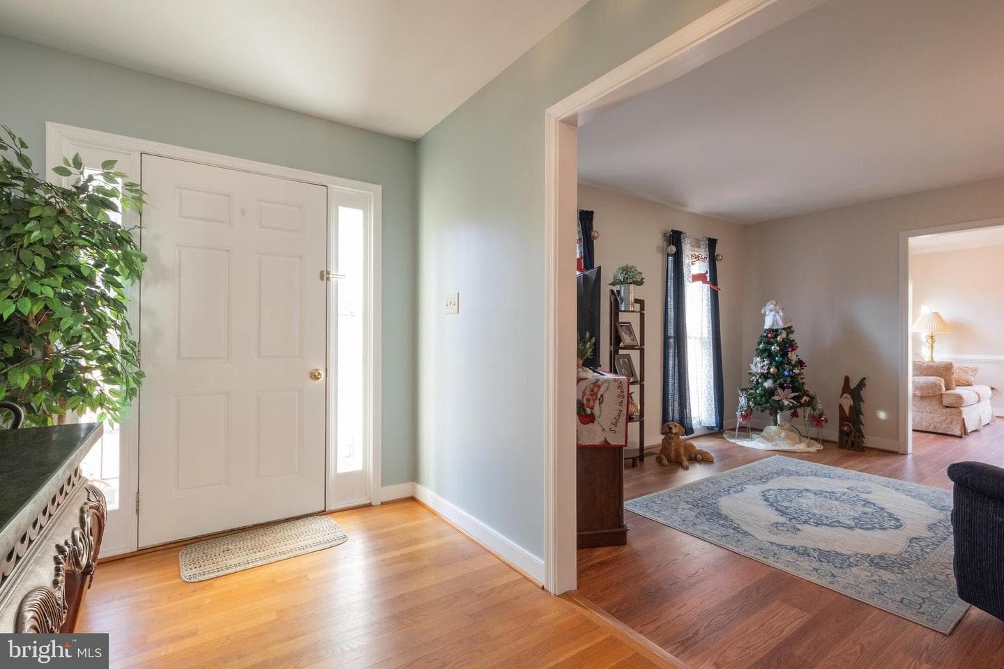 4231 Campbell Road photo 17