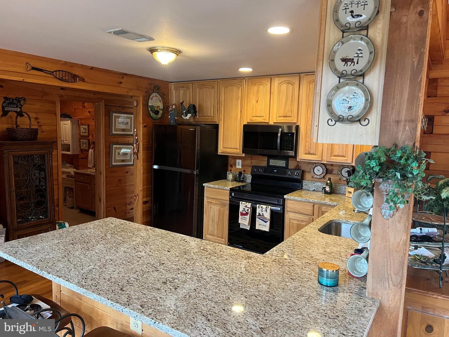 203 Tyler Point Lane photo 24