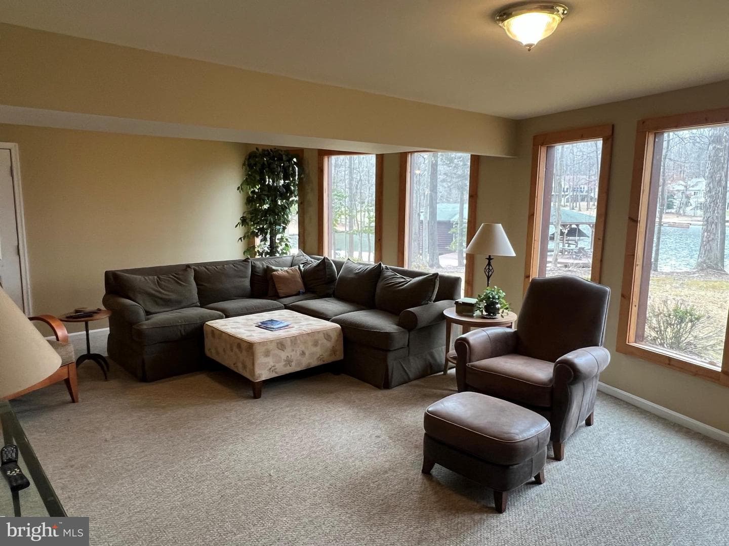203 Tyler Point Lane photo 48
