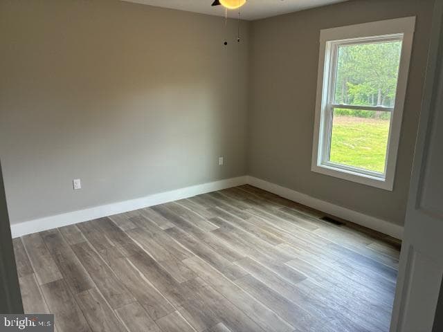1217 Cedar Hill Rd photo 17