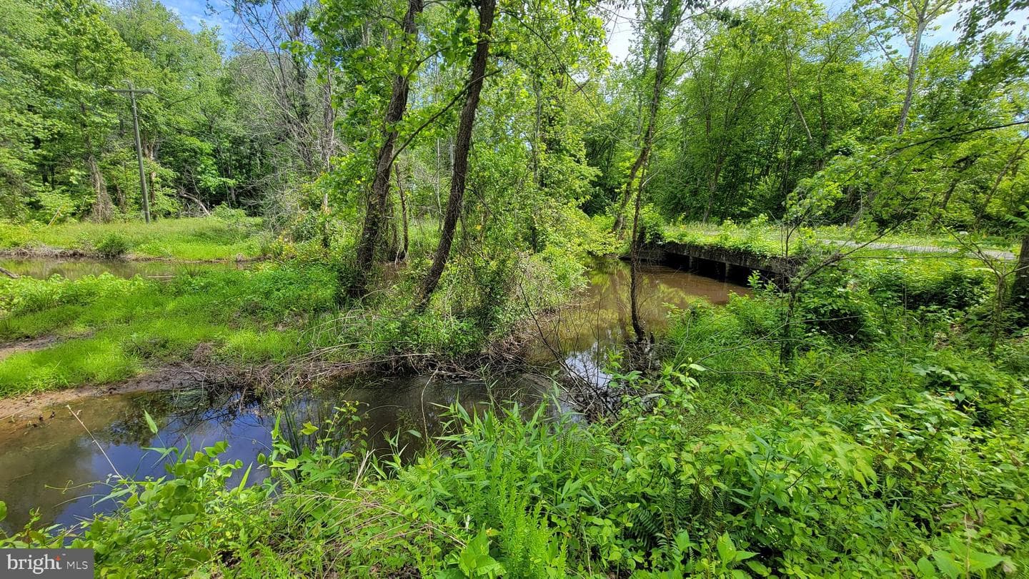 1217 Cedar Hill Rd photo 26