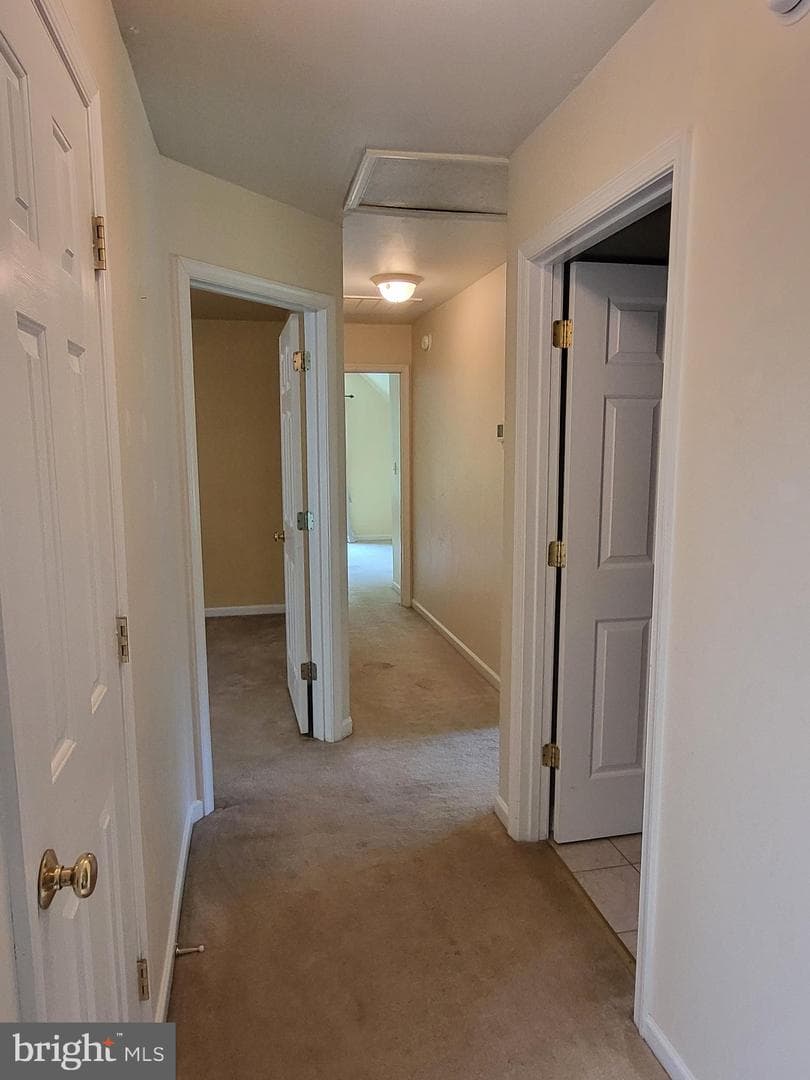 338 Meadow Ridge Road photo 44