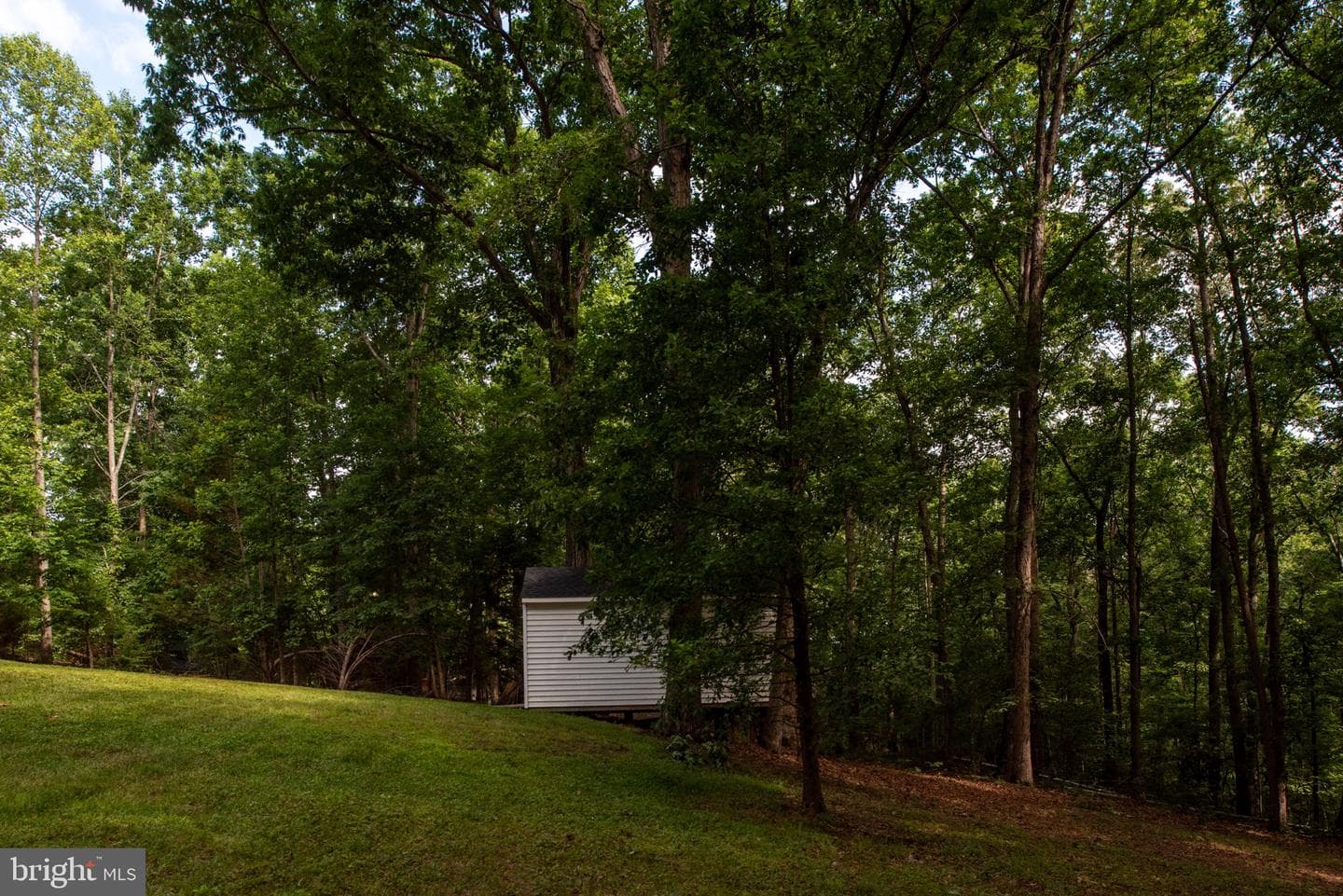 238 David Road photo 49