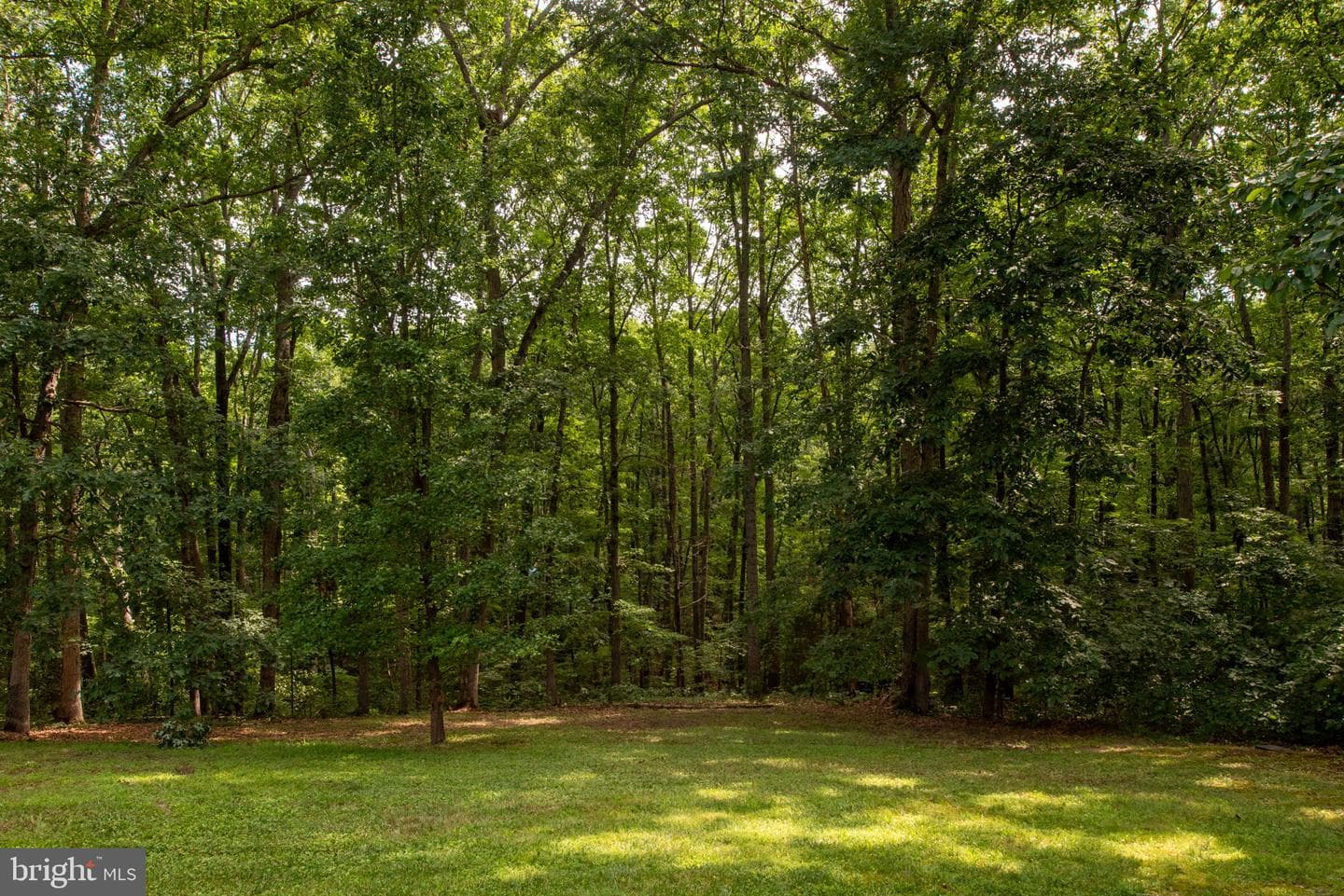 238 David Road photo 50