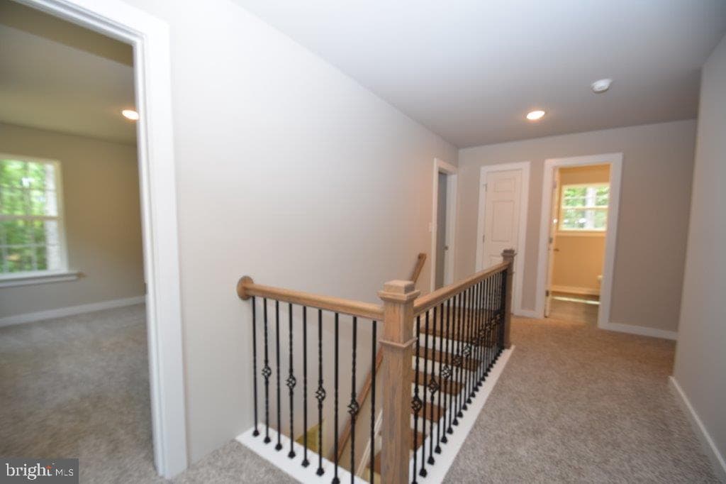 Lot 5 Atkinson Road photo 27