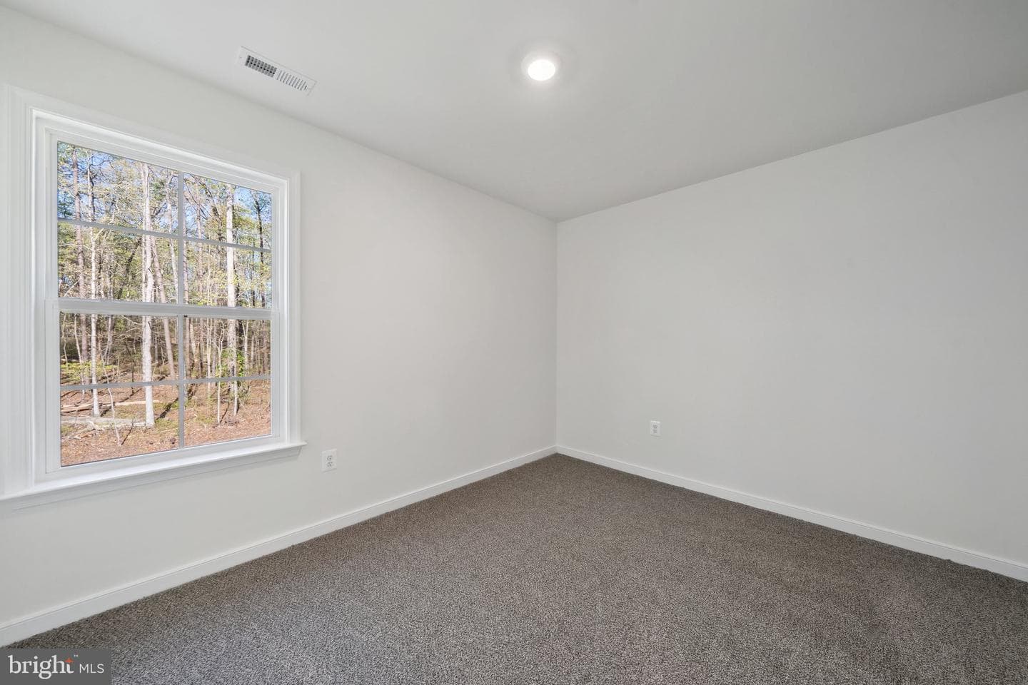 407 Richmond Avenue photo 9