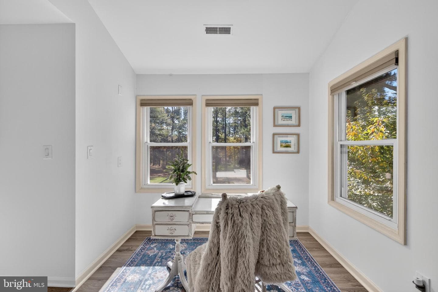 101 Barnstormer Circle photo 43