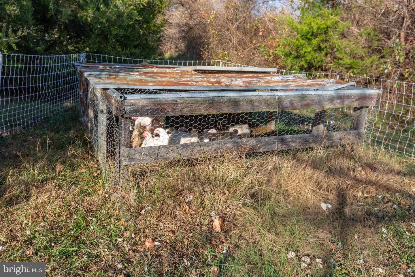 81 Leyland Farms Drive photo 41
