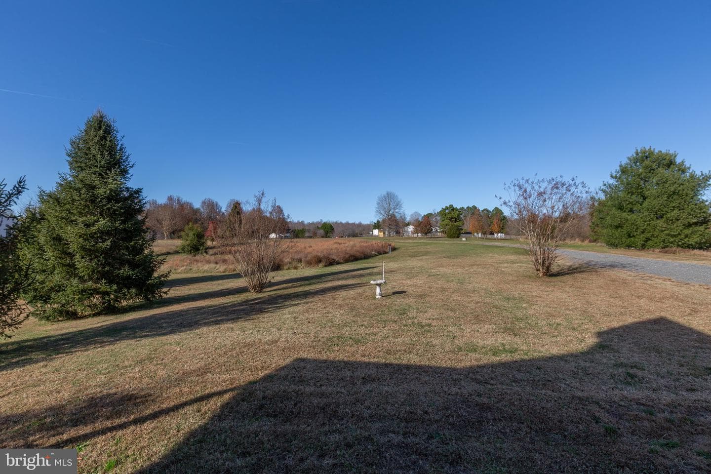 81 Leyland Farms Drive photo 6