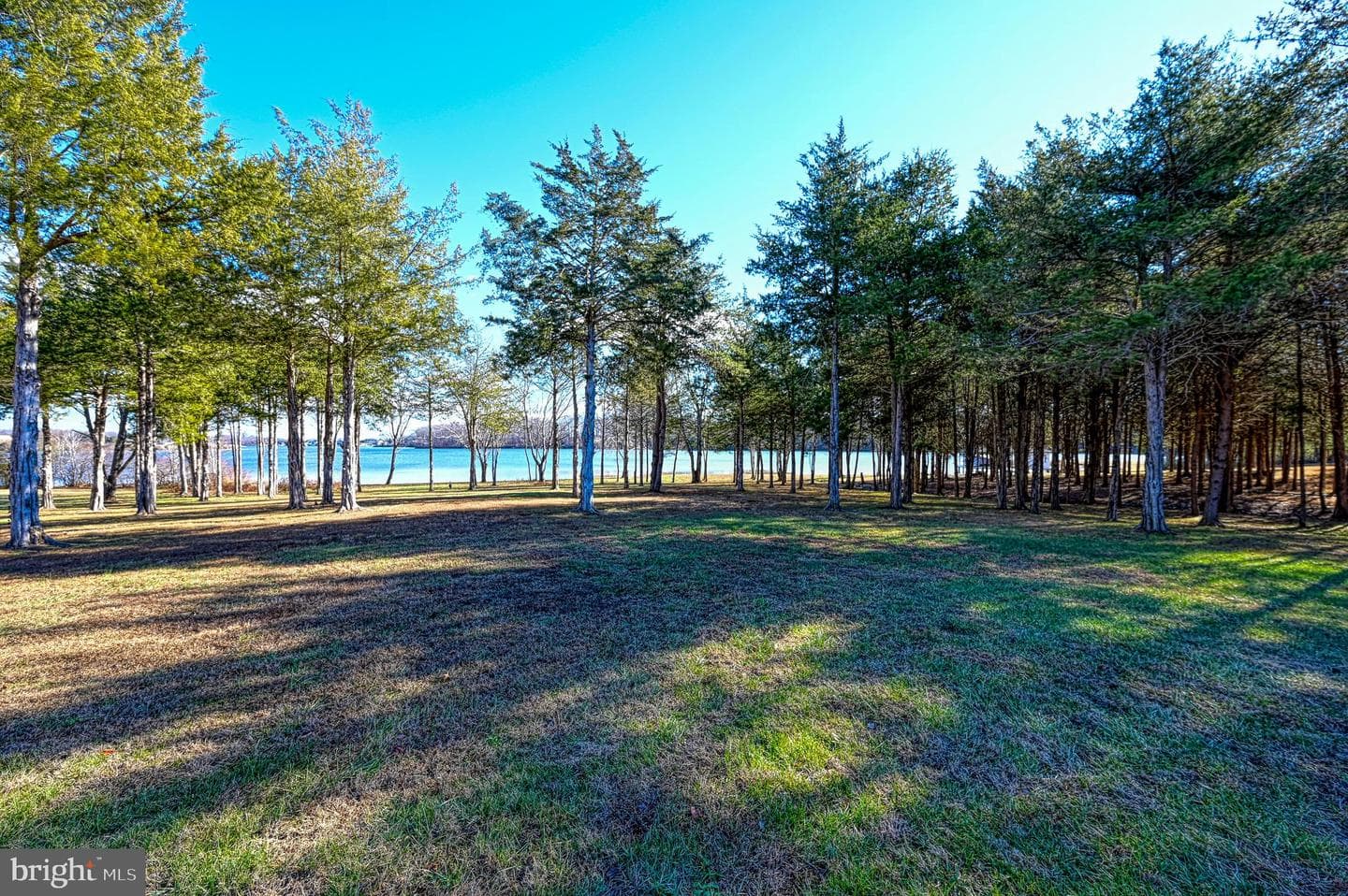 2642 Peach Grove Road photo 64