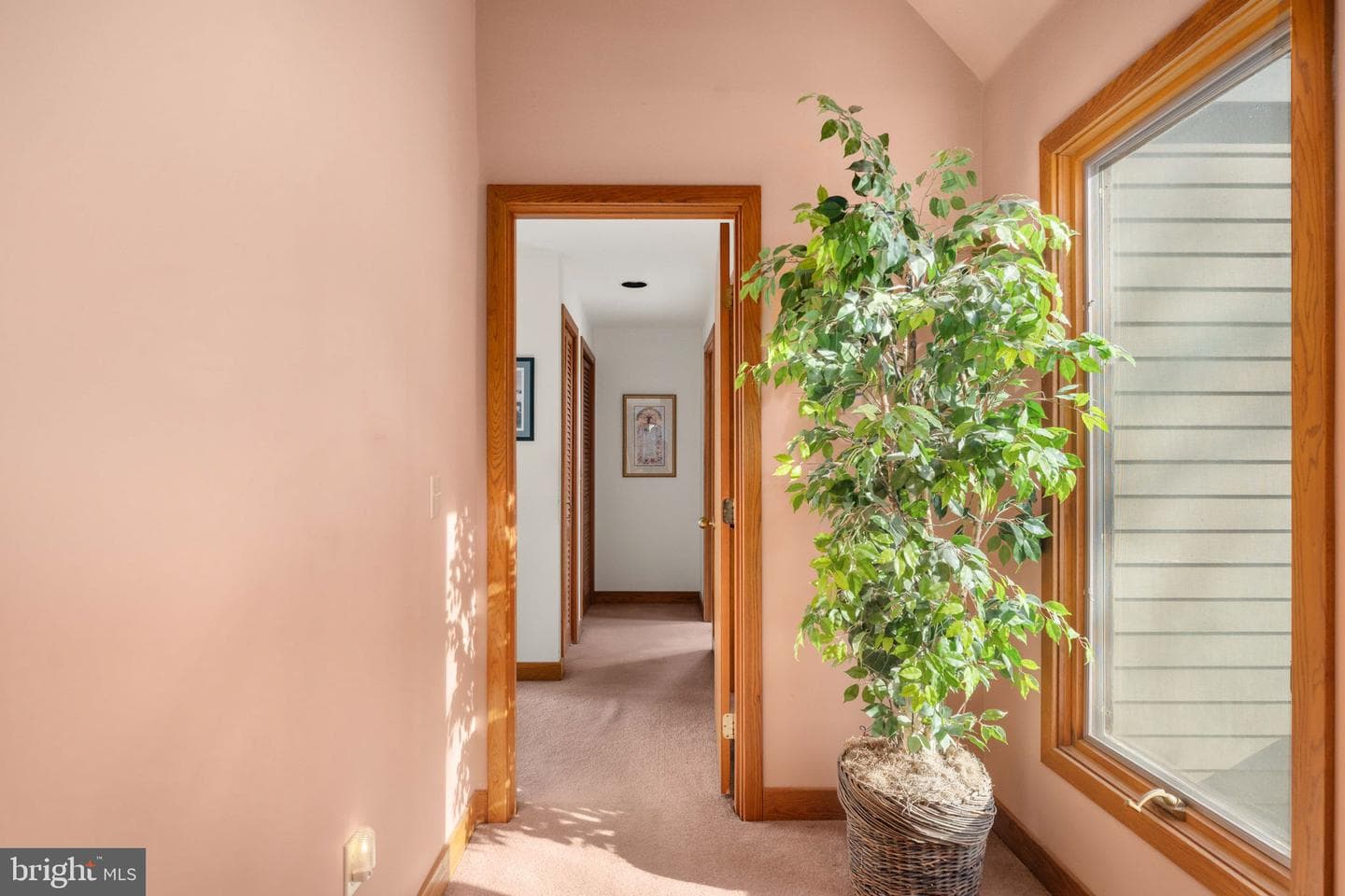54 Tara Cir photo 35
