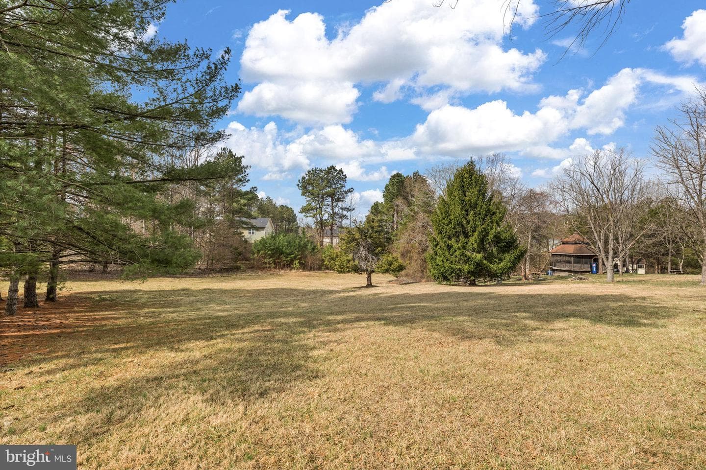 75 Mulberry Mdw photo 65