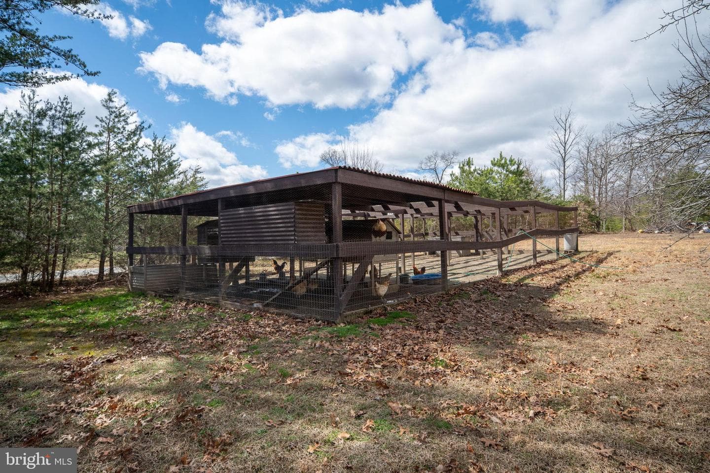 586 Jacoby Road photo 73