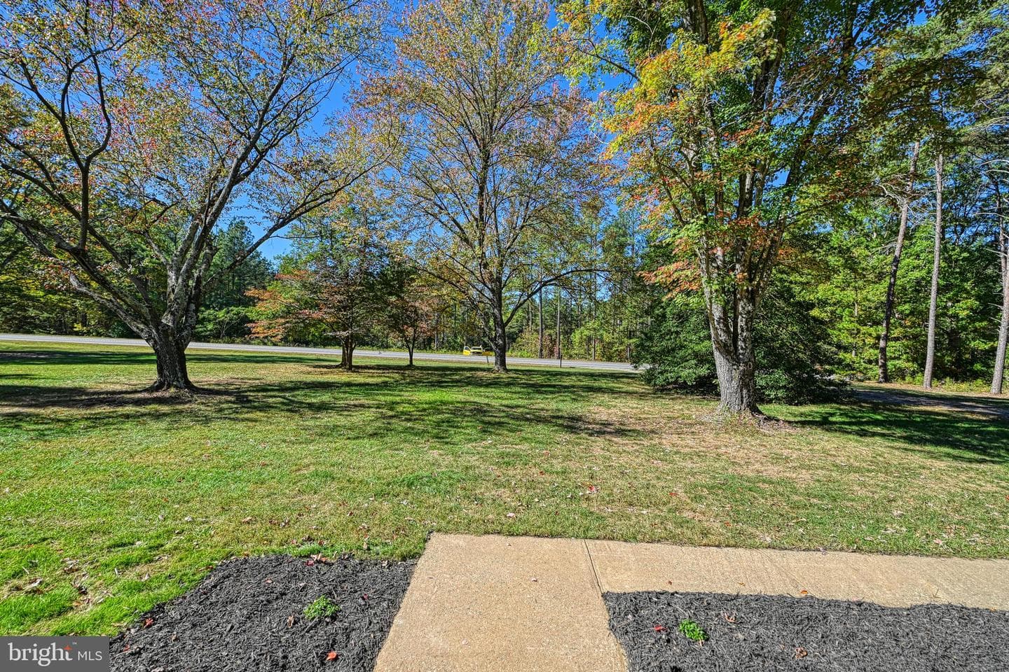 3040 Zachary Taylor Highway photo 10