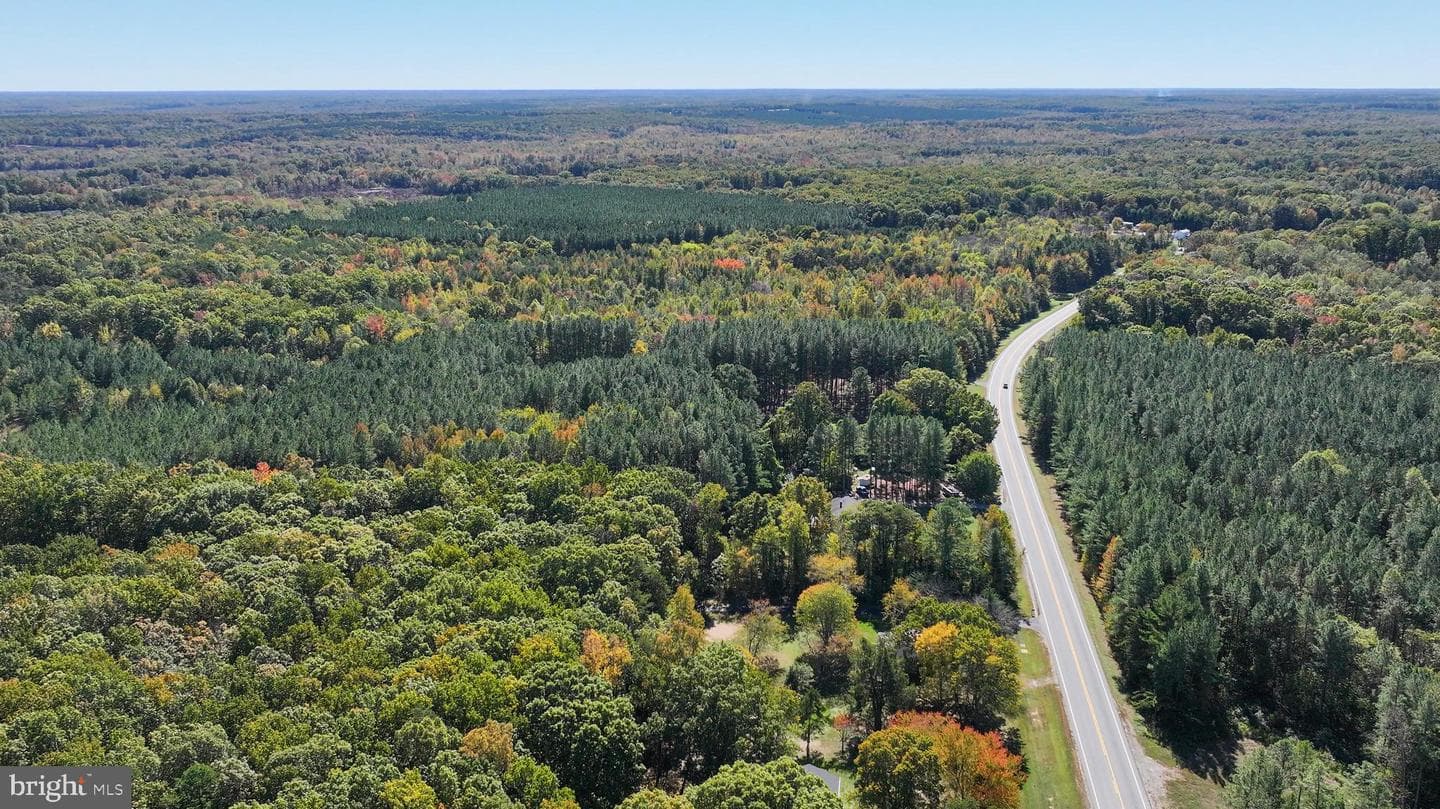 3040 Zachary Taylor Highway photo 67