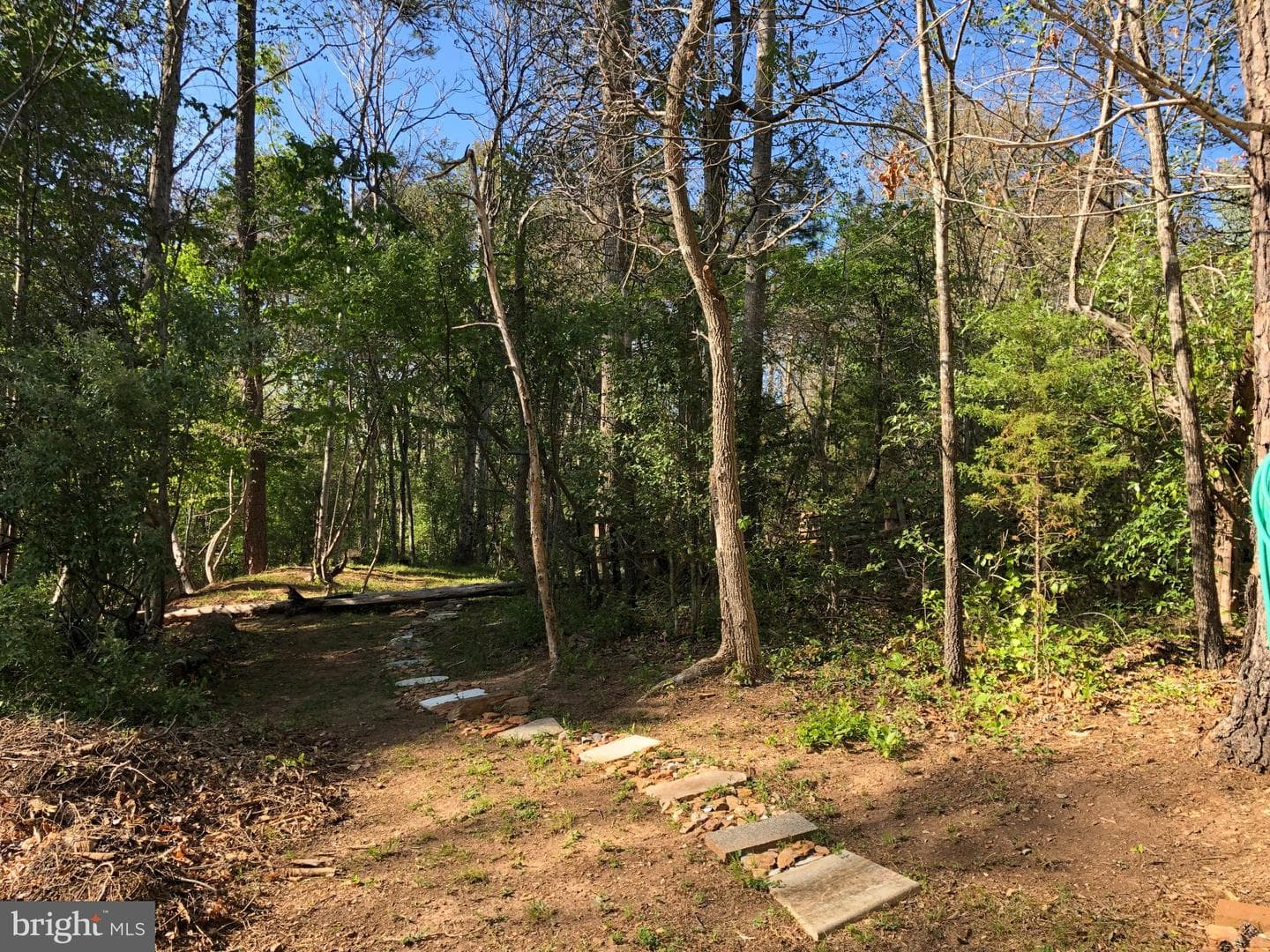 2203 Campbell Road photo 46