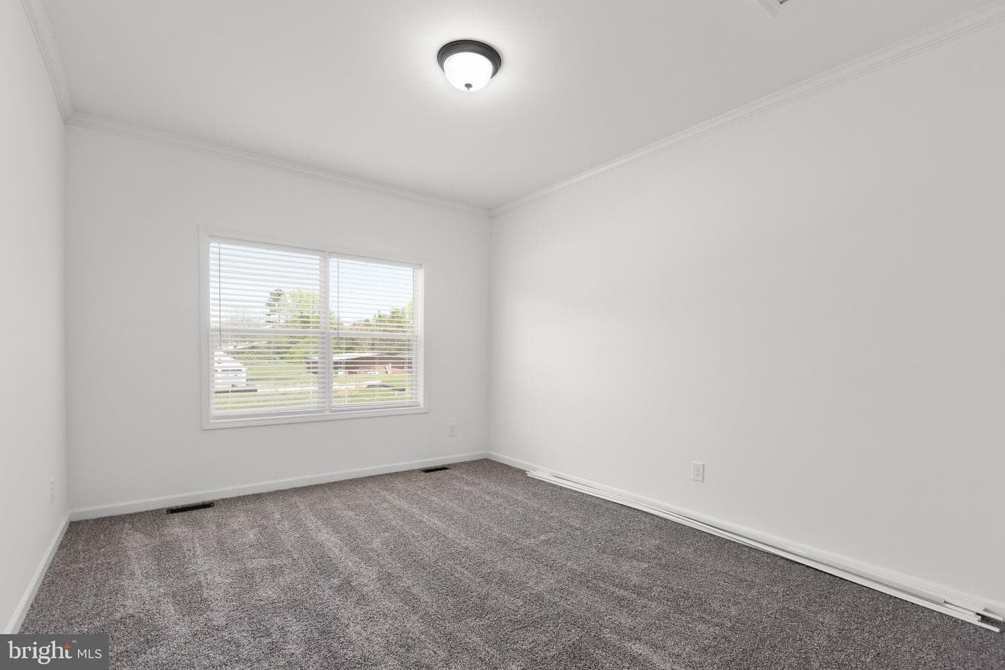 816 Mineral Avenue photo 20