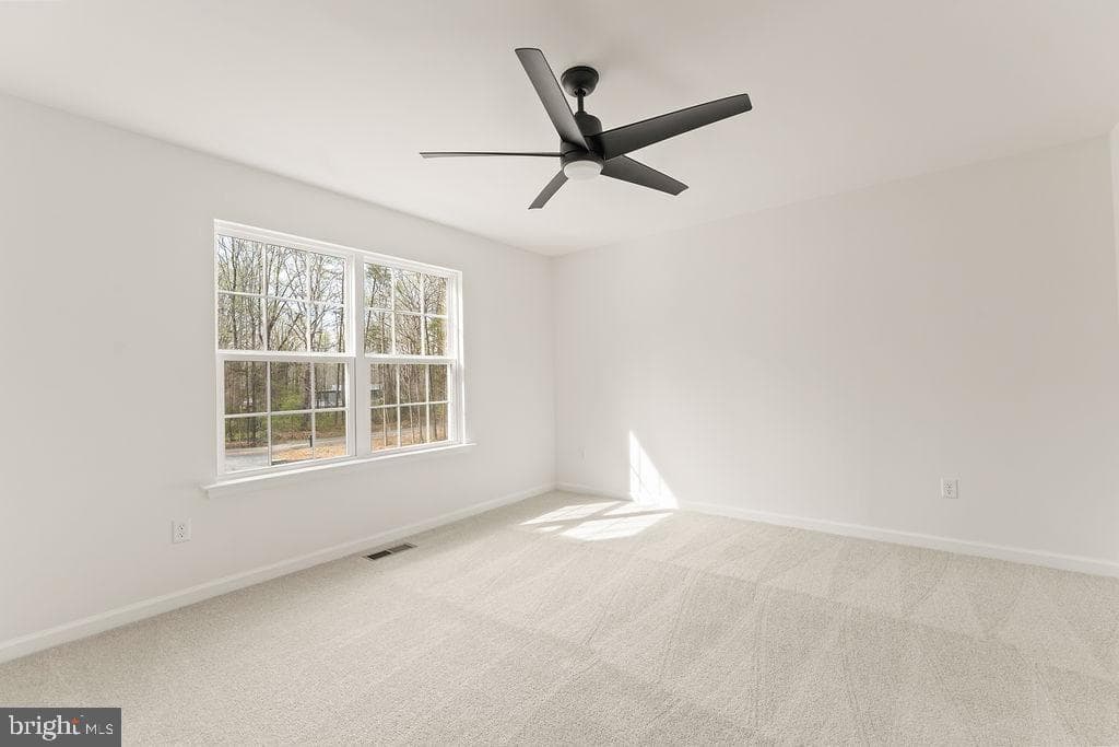 946 Pottiesville Rd photo 27