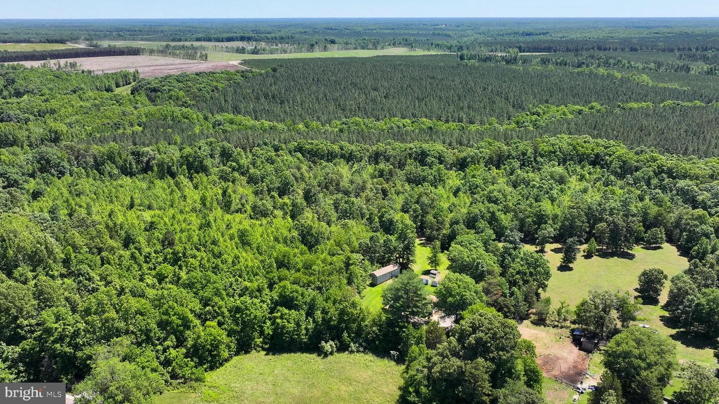 1062 Pendleton Road photo 39