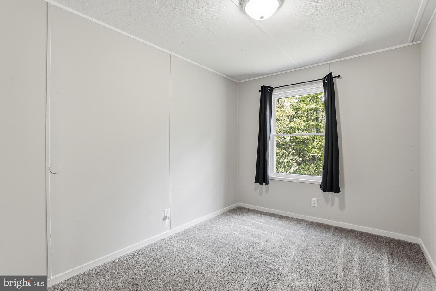 135 Heavenly Dove Drive photo 19