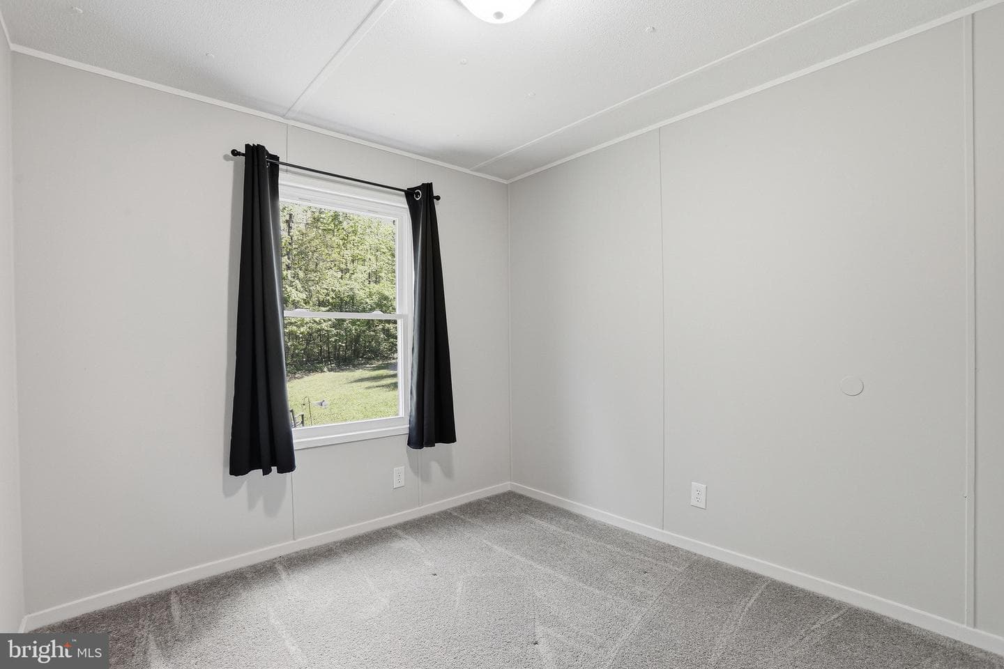 135 Heavenly Dove Drive photo 23