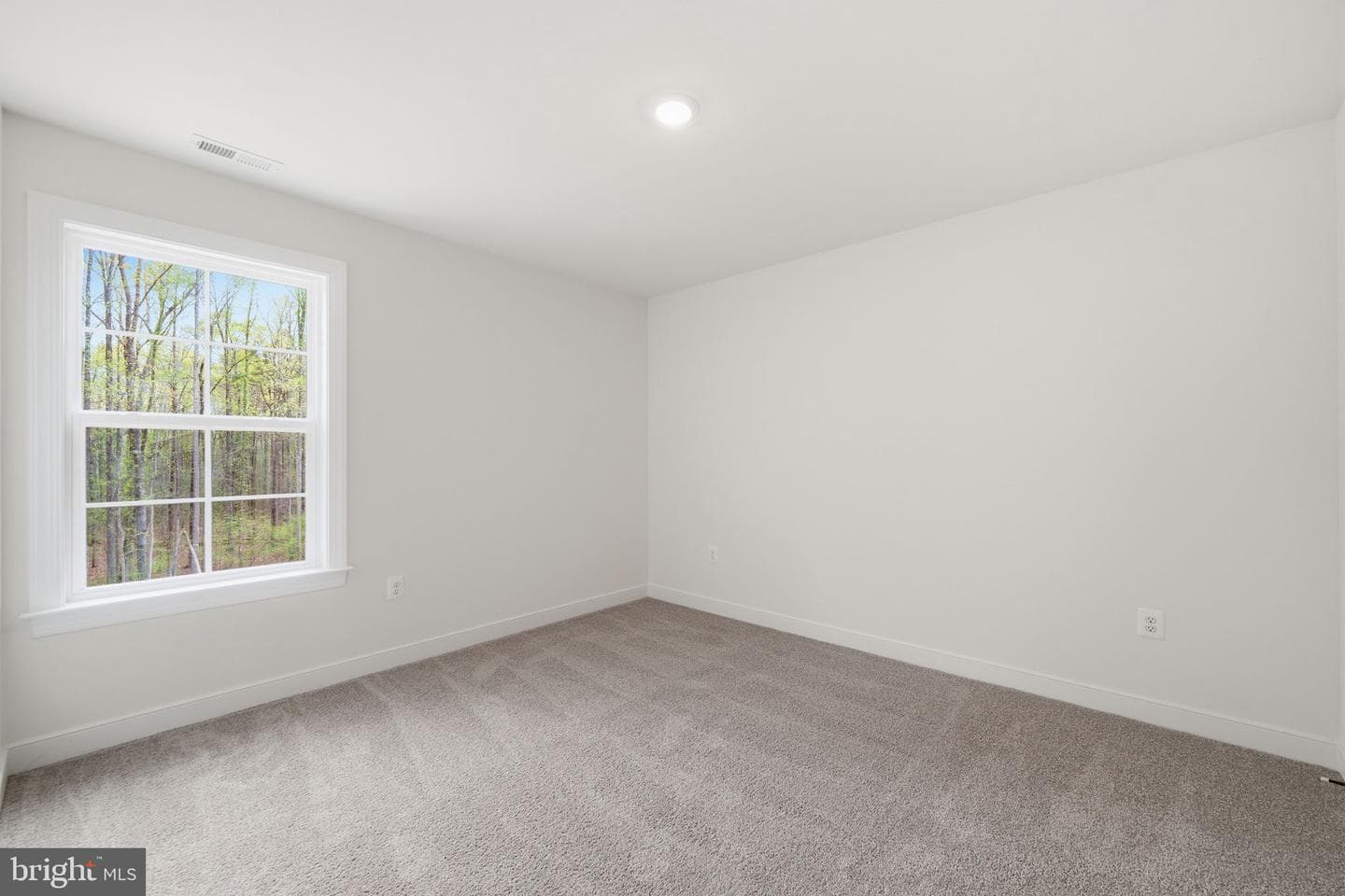 78 Fisher Drive photo 35