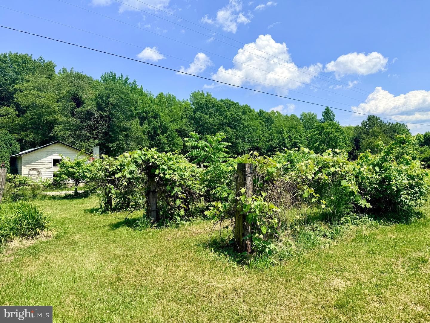 1311 Borden Road photo 63