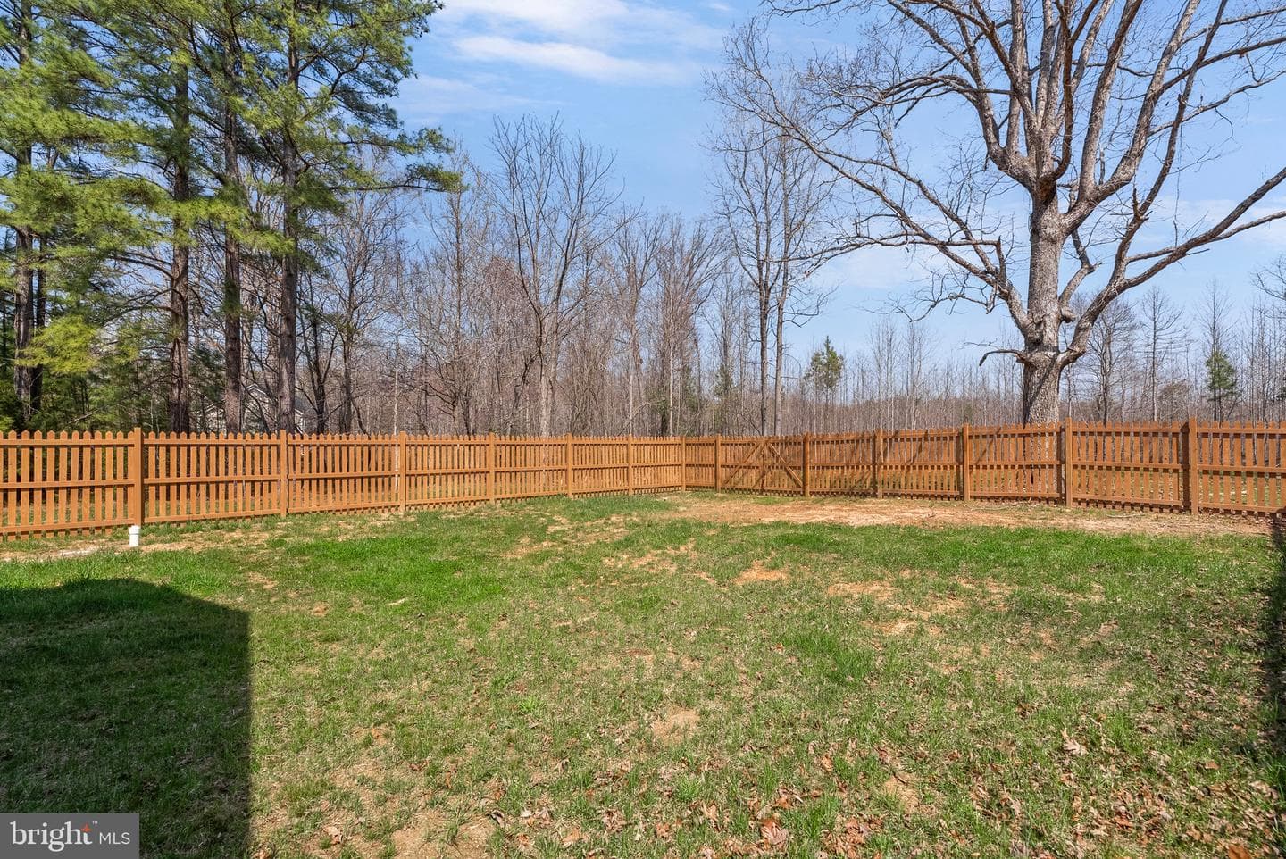 4316 Mt Airy Road photo 39