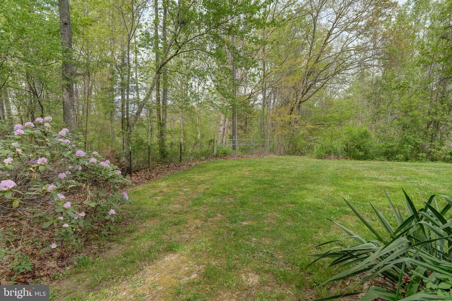 516 Apple Grove Road photo 78
