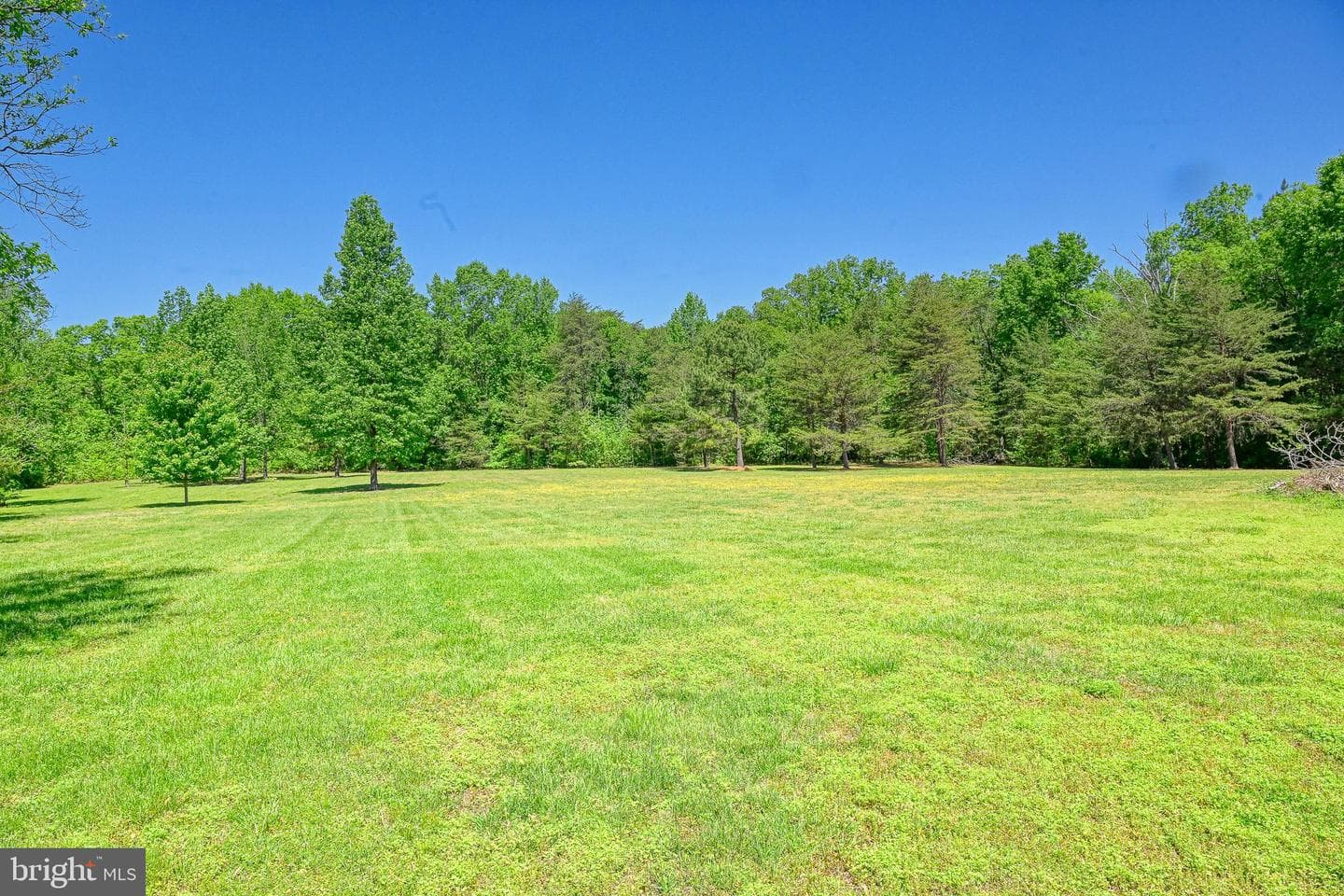 655 Bumpass Road photo 78