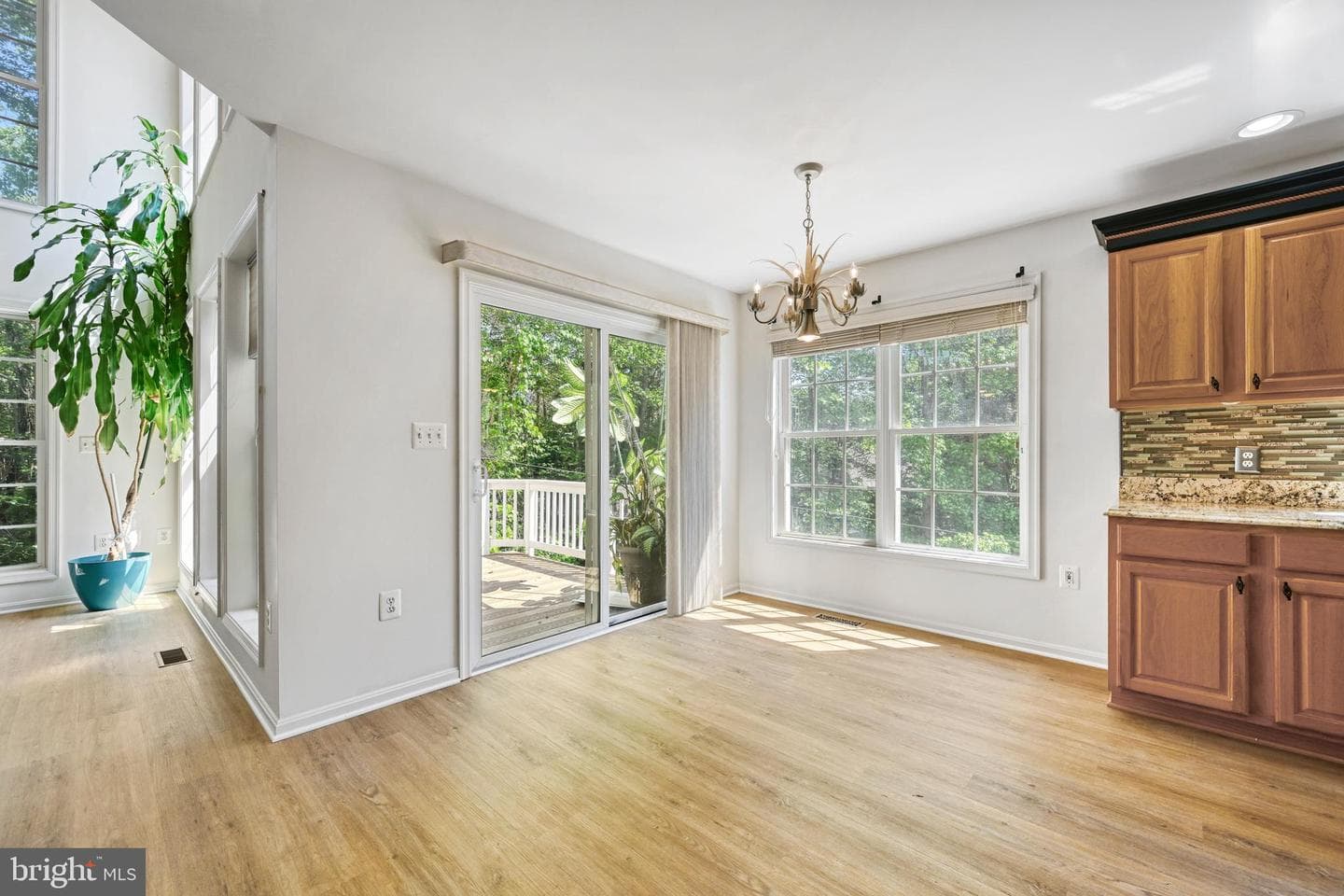 121 Brounaugh Lane photo 31