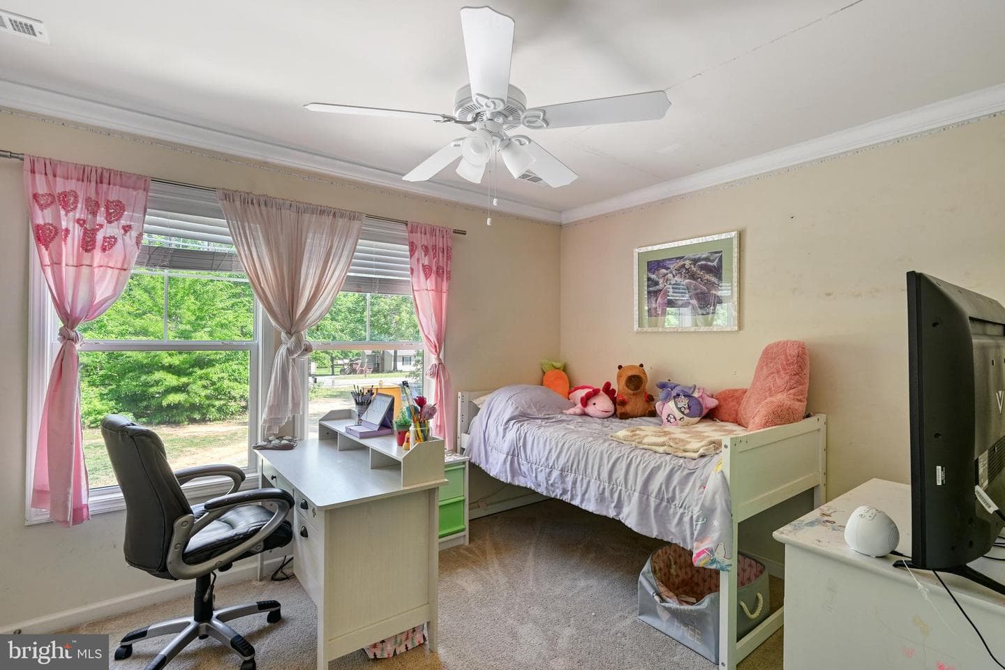 1176 Signboard Road photo 44