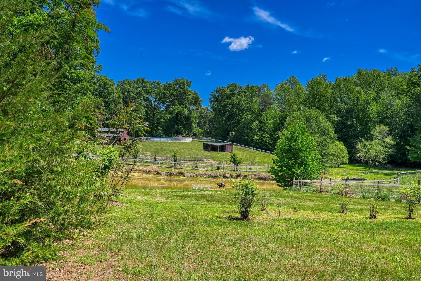 321 Willow Oak Lane photo 71