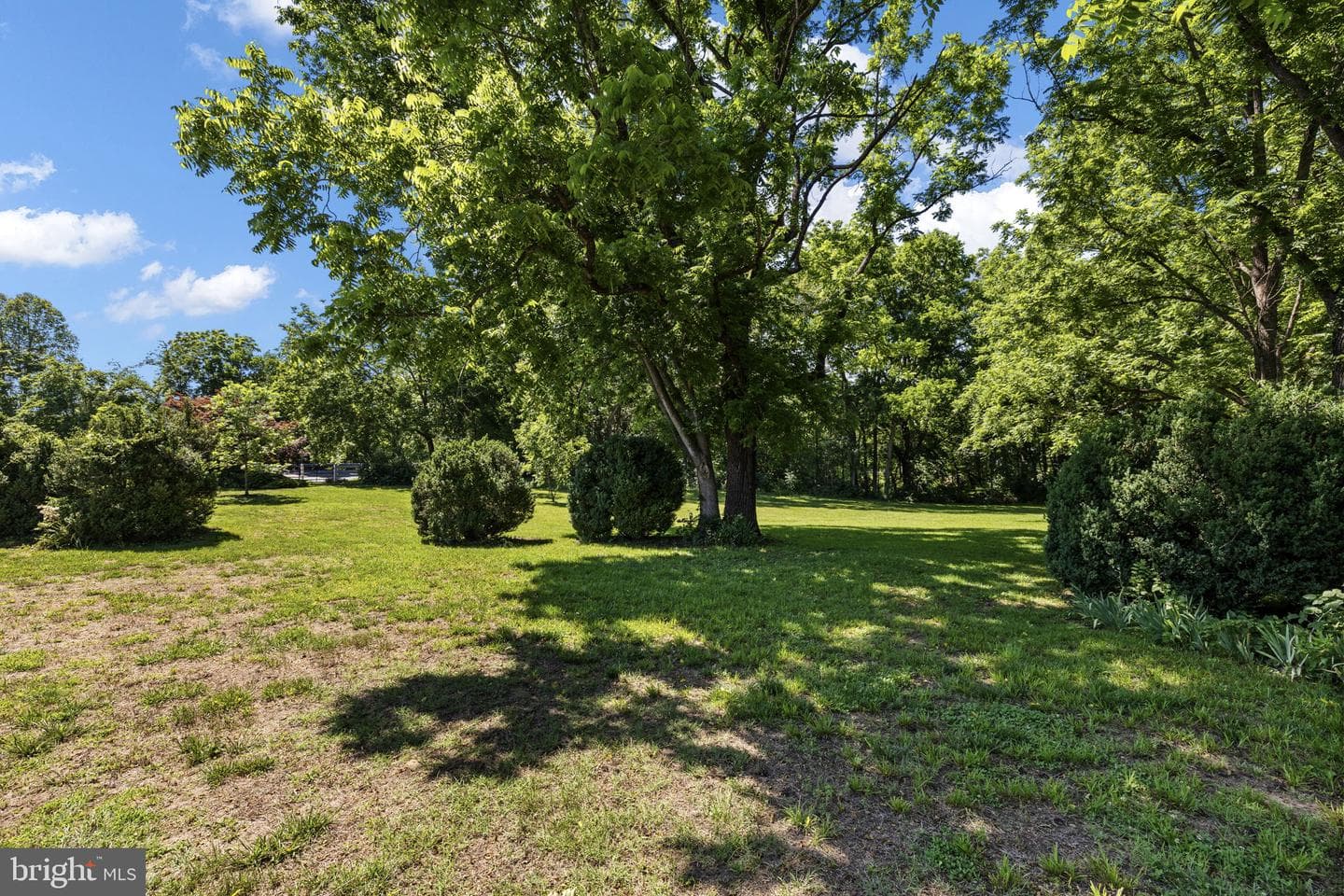 185 Mountain View photo 88