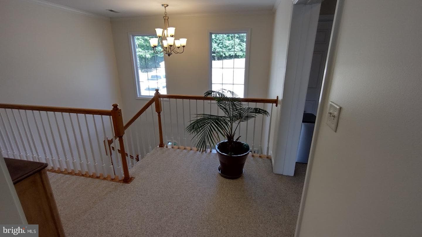 305 Catamaran Court photo 19