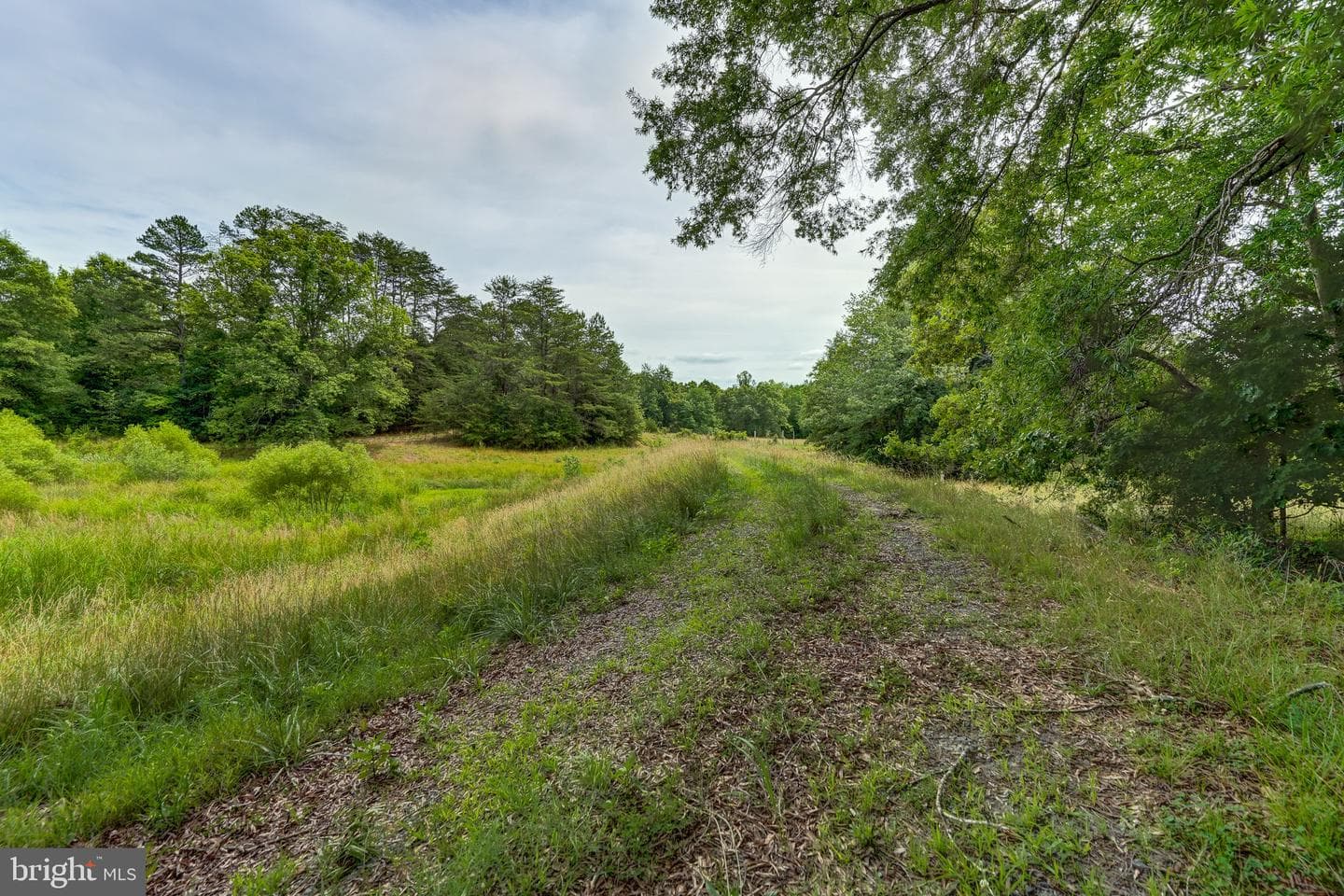 8858 Poindexter Road photo 36