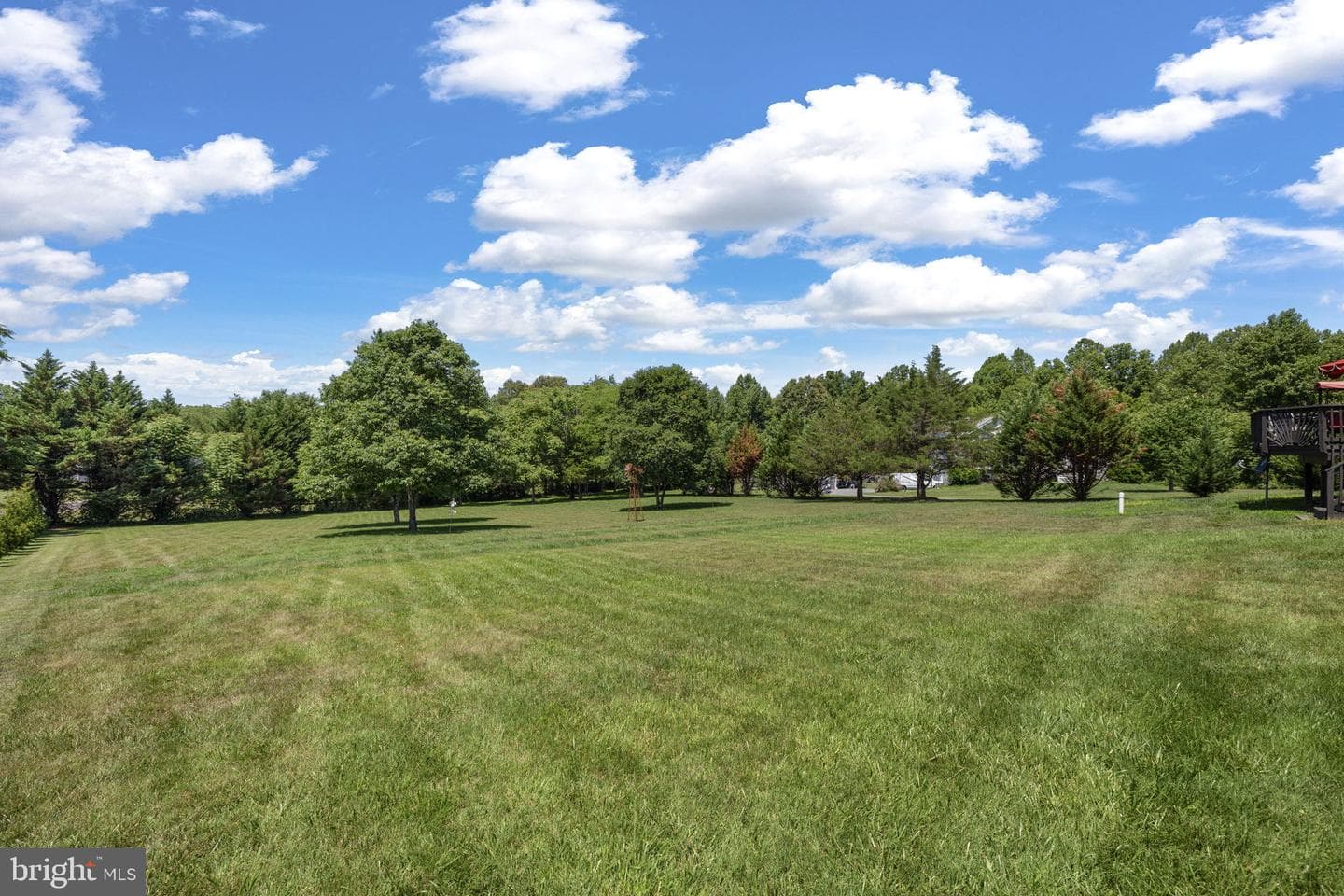 249 Derby Lane photo 48