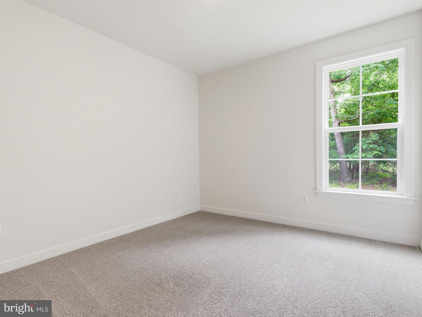 184 Anna Coves Court photo 23