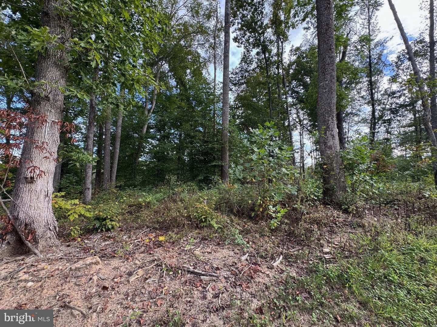 64 Compass Cove photo 37