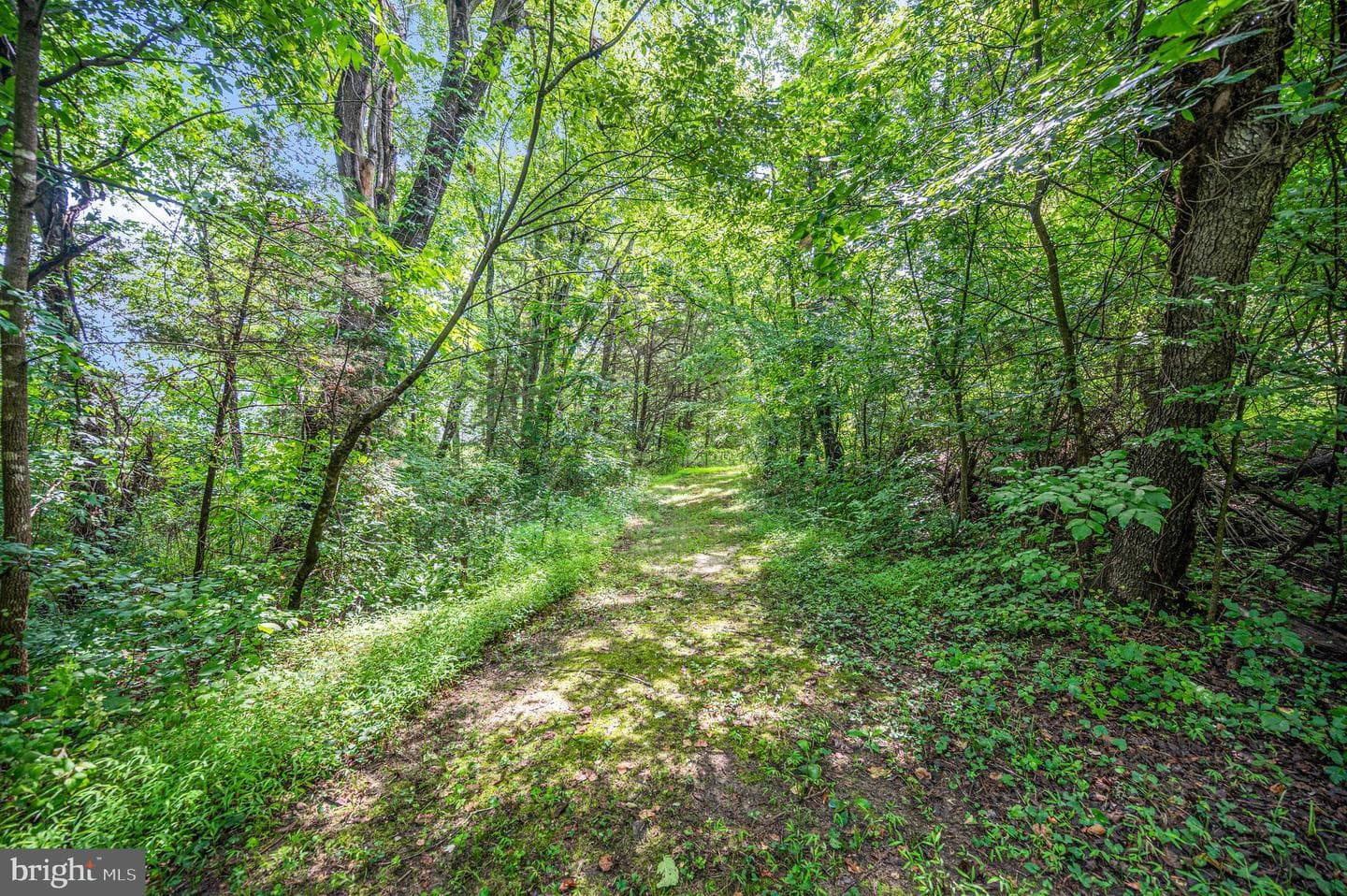 446 Bailey Drive photo 48
