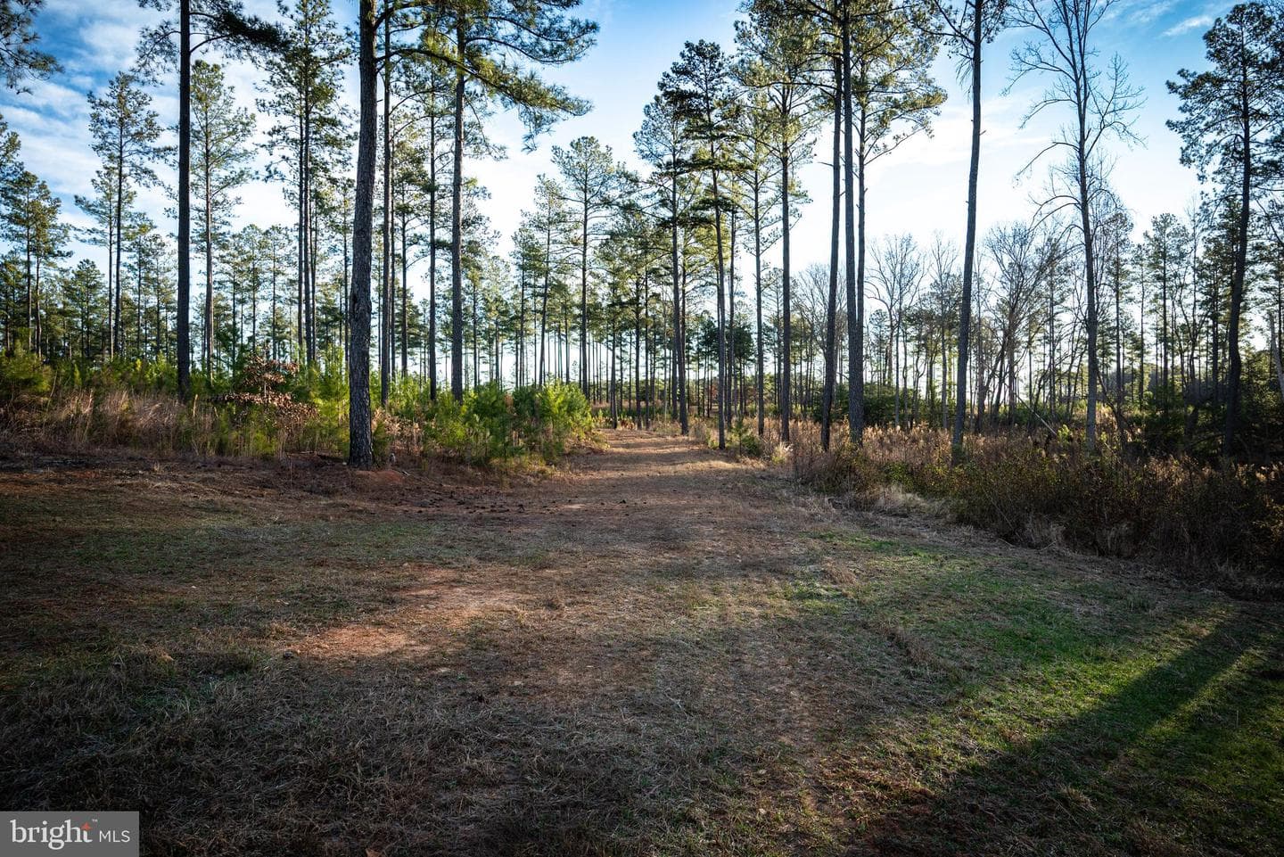 1052 S Hill Road photo 50