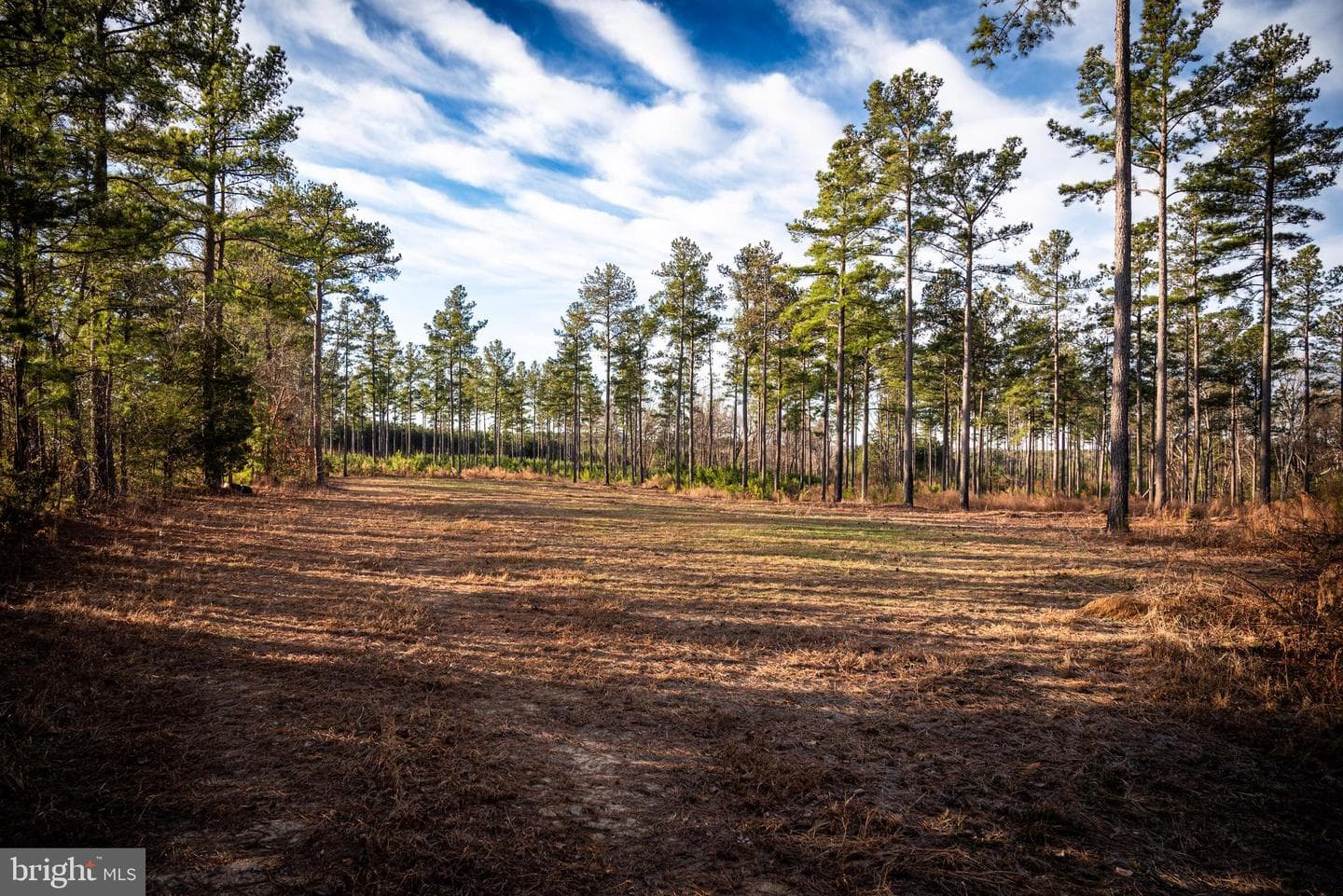 1052 S Hill Road photo 71