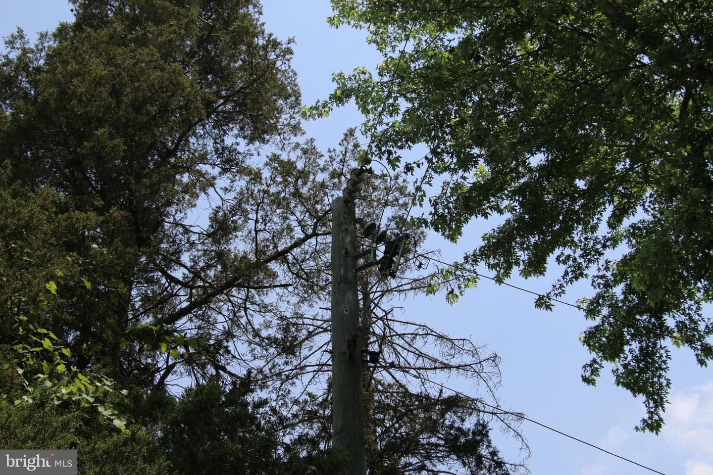 24118 Trailhead Drive photo 12