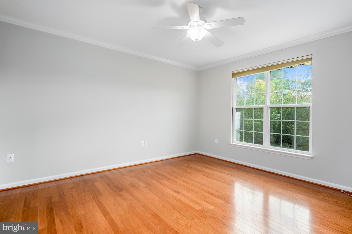 20443 Valley Falls Square photo 22